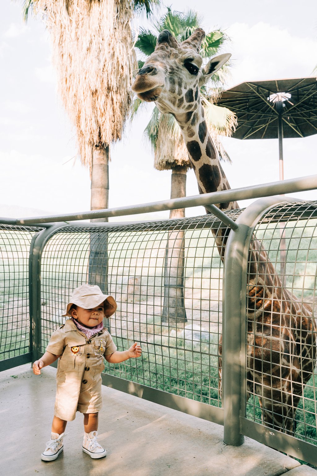 Amber in Palm Desert: Proposal / Engagement Photography