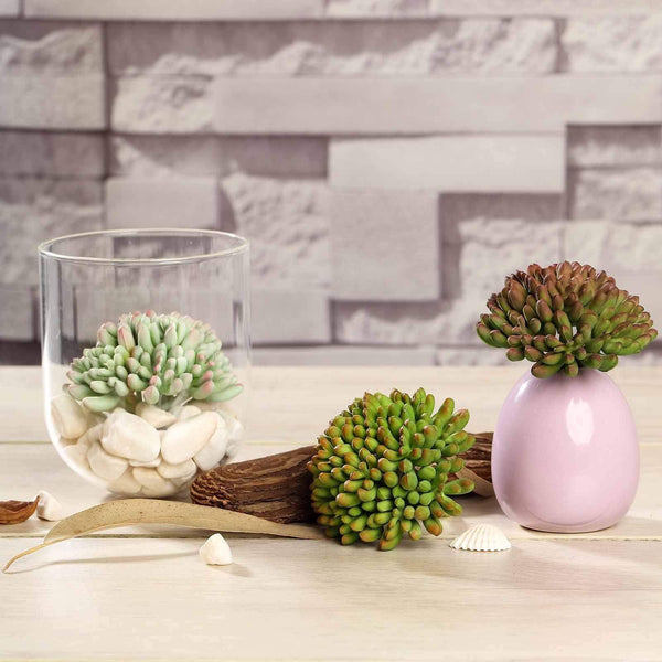 3 pcs 4" Assorted Artificial Faux Jelly Bean Succulent Picks Plants