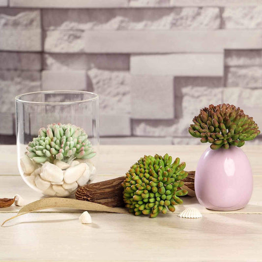 3 pcs 4" Assorted Artificial Faux Jelly Bean Succulent Picks Plants