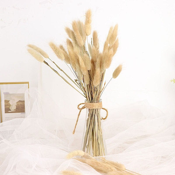 50 Natural 15 in Rabbit Tail Dried Pampas Grass Stems