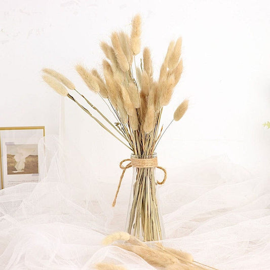 50 Natural 15 in Rabbit Tail Dried Pampas Grass Stems