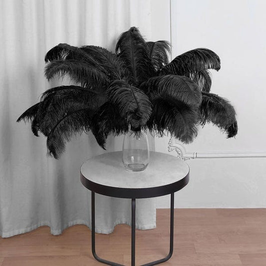 12 Large Authentic Ostrich Feathers 24 - 26 inches