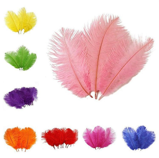 12 pcs 13 - 15 inches Genuine Ostrich Feathers
