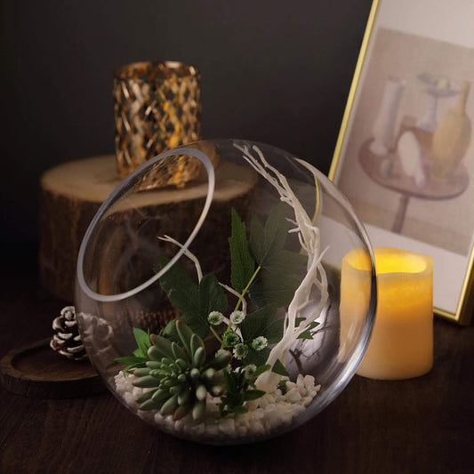 Large 9 in tall Slanted Clear Glass Vase Terrarium