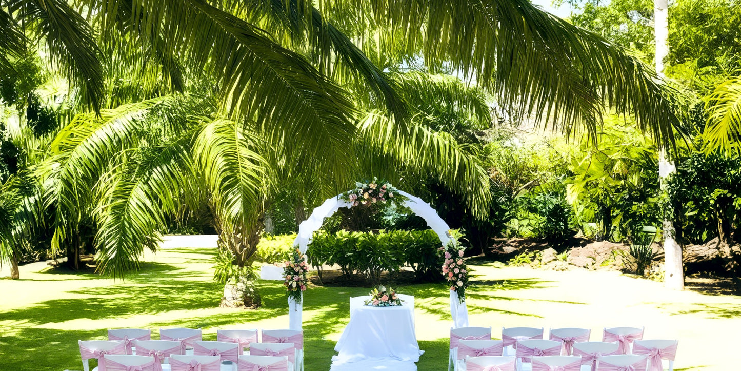 Barcelo Bavaro Beach Destination Wedding Package