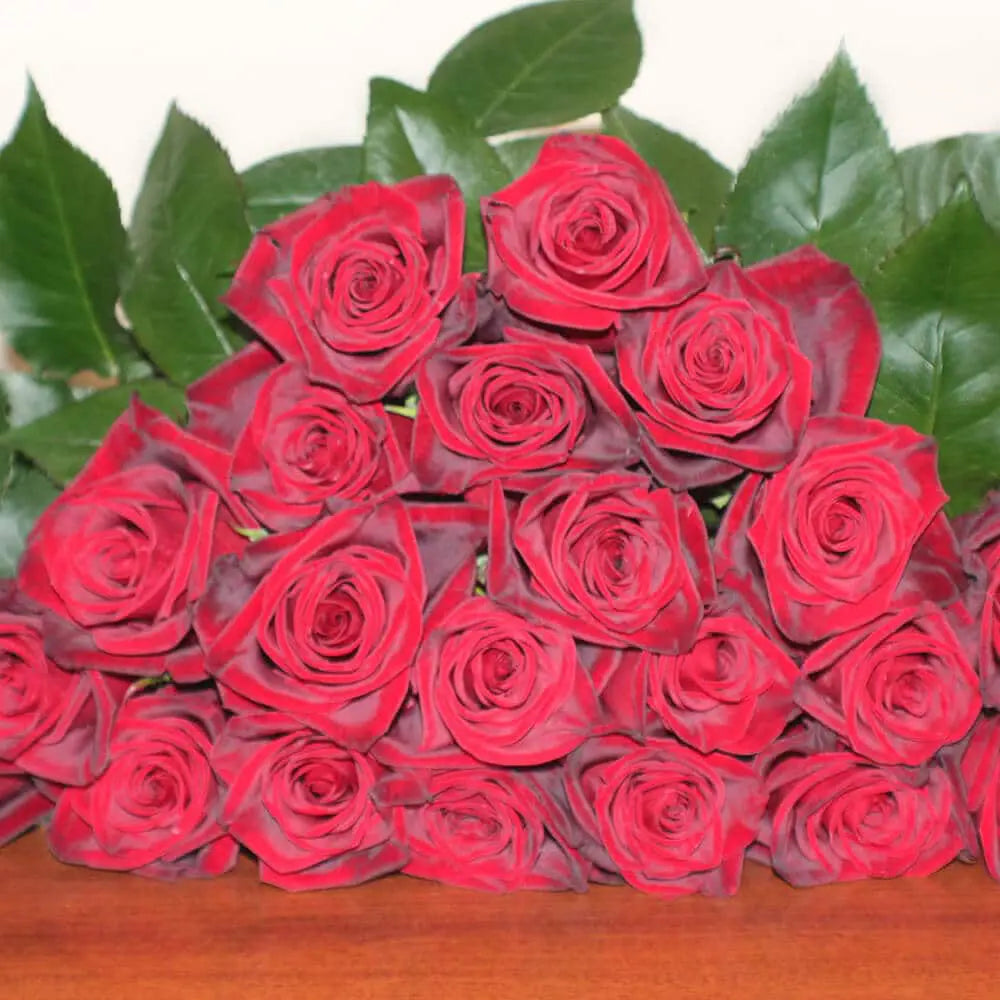 Black Magic Roses 100 Stems