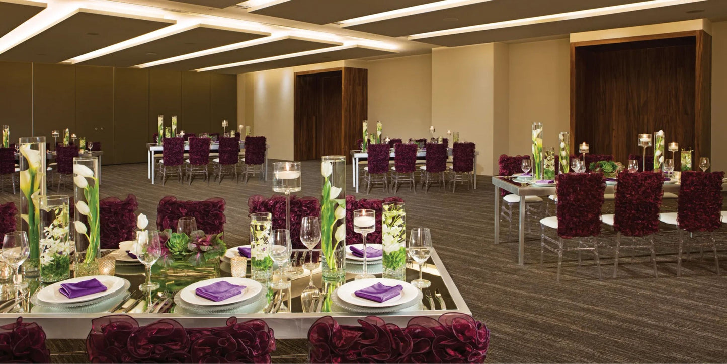 Breathless Cabo San Lucas Resort and Spa Destination Wedding Package