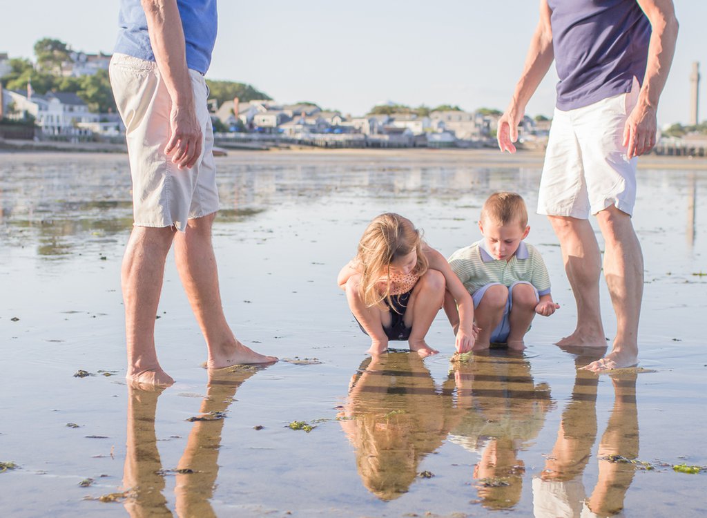 Cathie in Cape Cod: Proposal / Engagement Photography