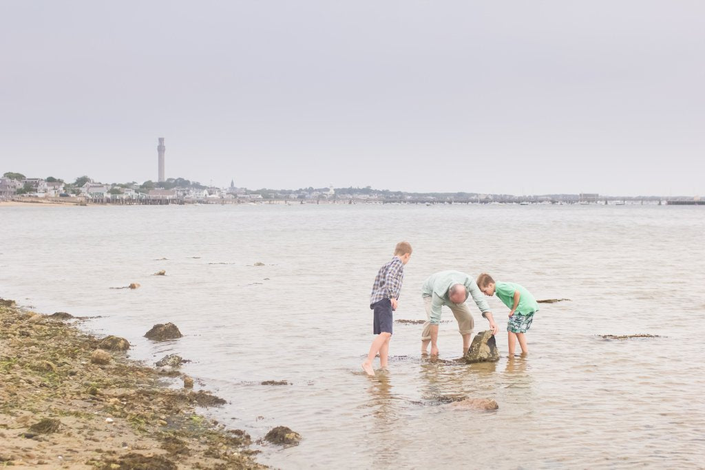 Cathie in Cape Cod: Proposal / Engagement Photography