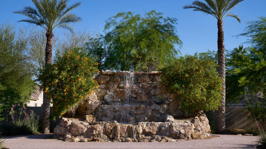 Exquisite Sophistication Elite Wedding Package - Gilbert, Arizona