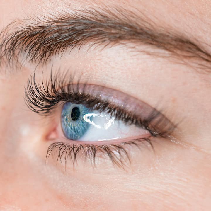 Glam, Silk, And Mega-Volume Lashes By Tamara