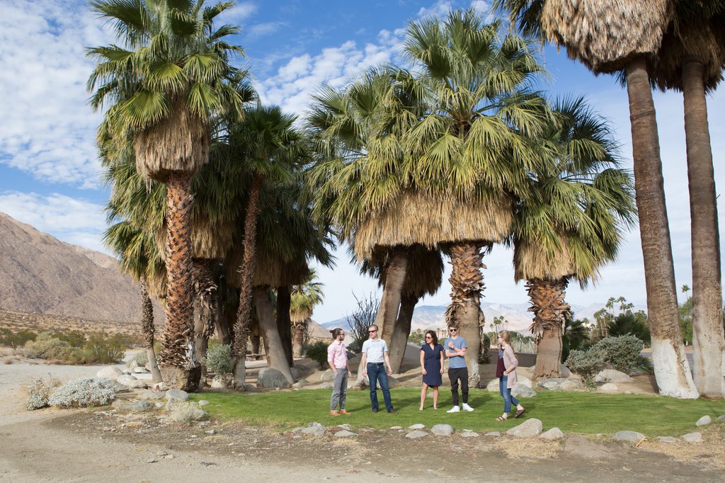 Daniel and Noi in Palm Springs: Proposal / Engagement Photography