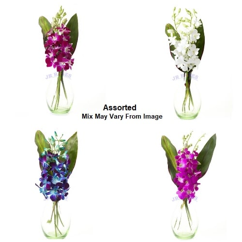 Dendrobium Orchid Bouquet, 30 bqts.