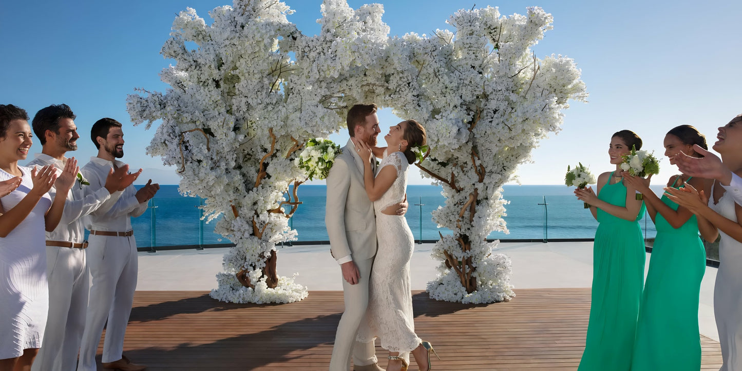 Dreams Bahia Mita Destination Wedding Package