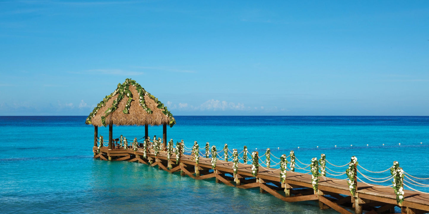 Dreams Dominicus Destination Wedding Package