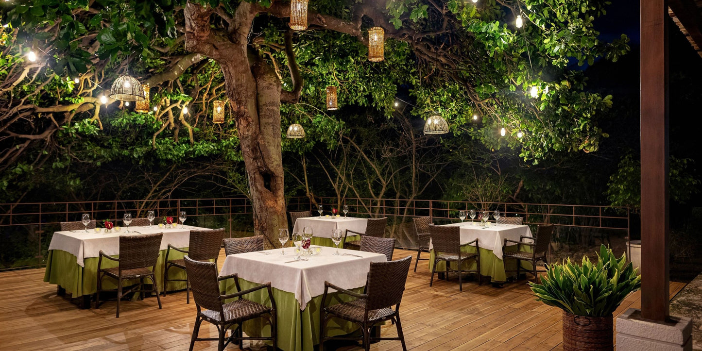 Dreams Las Mareas Destination Wedding Package