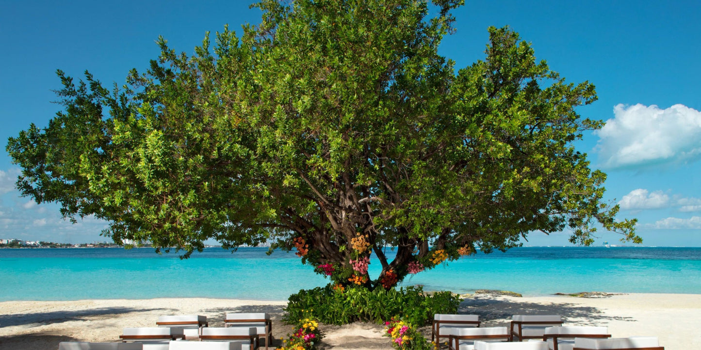 Dreams Sands Cancun Destination Wedding Package