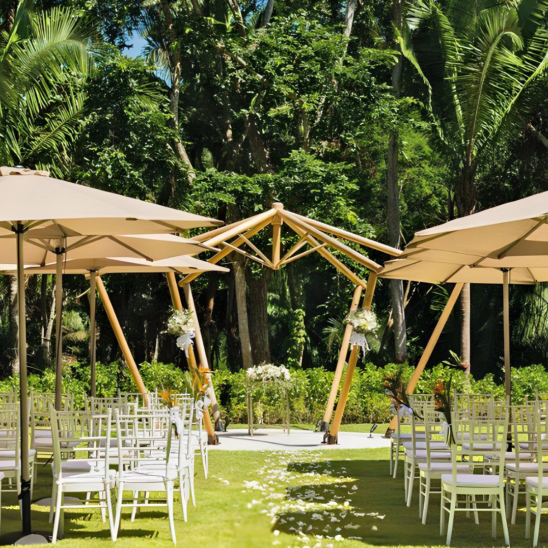 Dreams Bahia Mita Destination Wedding Package