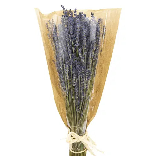 Dried Lavender Bouquets, Bulk 25 Bqts