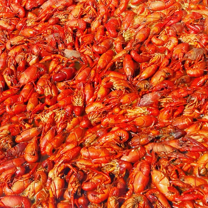 Authentic New Orleans Seafood Boil By Evan