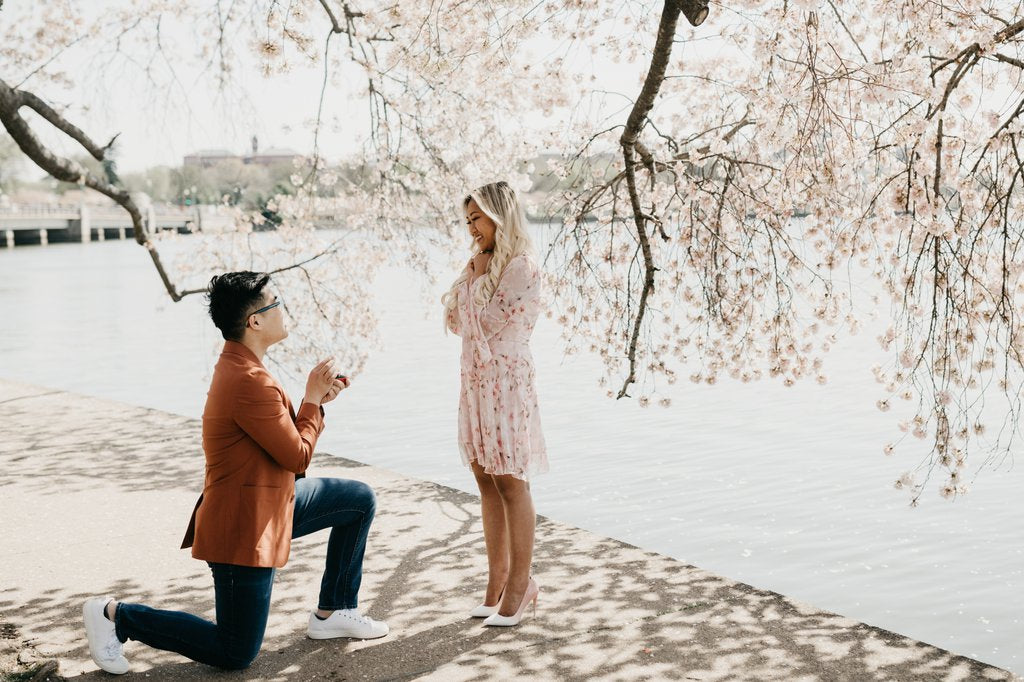 Elisenda in Washington DC: Proposal / Engagement Photography
