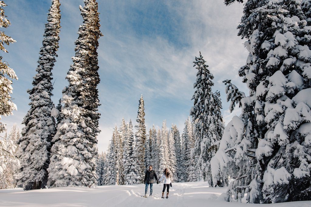 Emmy in Portland, Oregon: Proposal / Engagement Photography