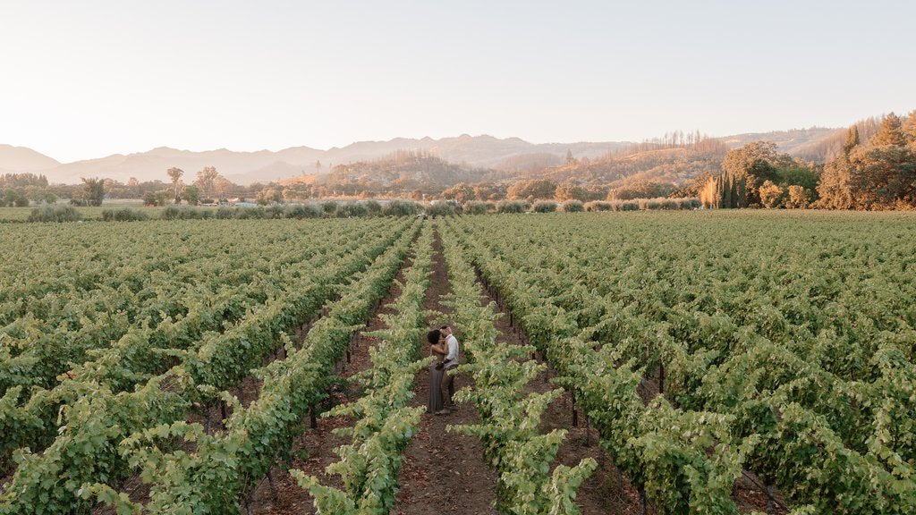 Enea in Napa-Sonoma: Proposal / Engagement Photography