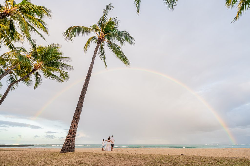 Enzo in Honolulu: Proposal / Engagement Photography