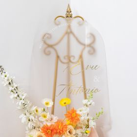 Luxurious Arched Frosted Acrylic Wedding Welcome sign with Exquisite Gold Acrylic Names CS083