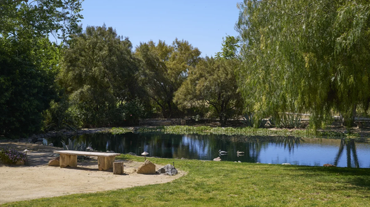 Galway Downs Premier Wedding Package - Temecula, California