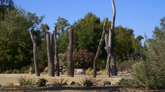 Galway Downs Premier Wedding Package - Temecula, California