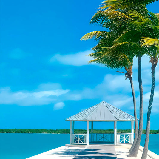 Alexandra Resort Turks and Caicos Destination Wedding Package