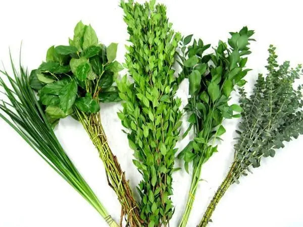 Floral Arrangement Greenery
