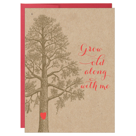Grow Old Along with Me Greeting Card