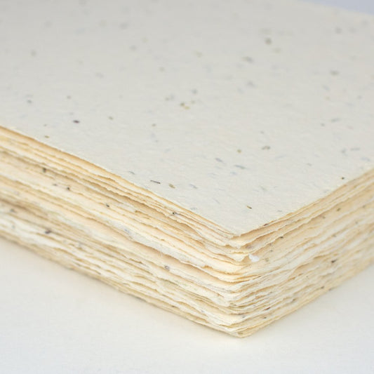 Seed Handmade Paper Bulk {Hmp - B - (Size) Seed}