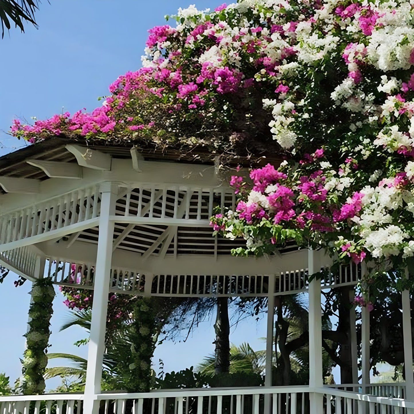 Catalonia Montego Bay Destination Wedding Package