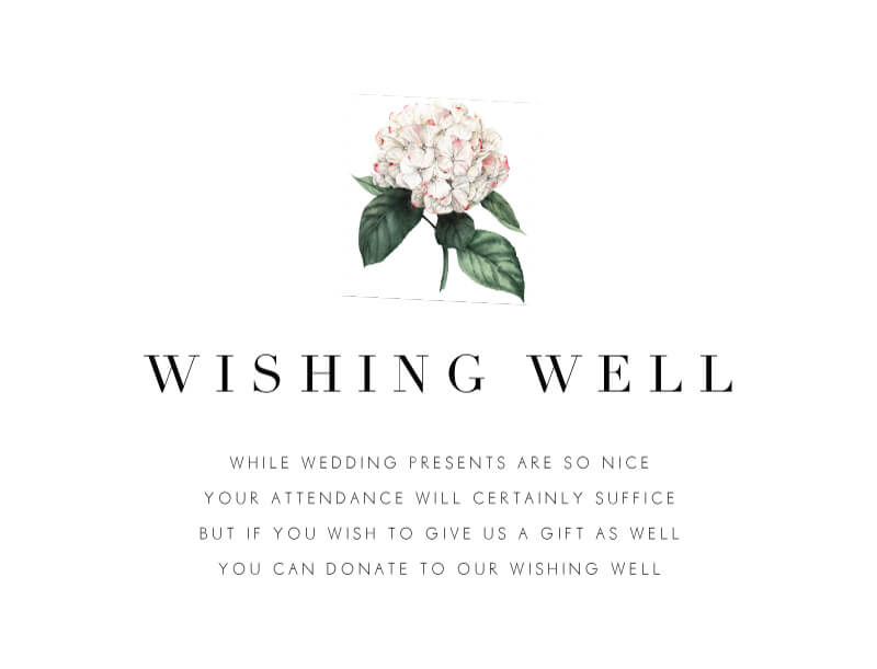 Hydrangea Wishing Well by Stella M.