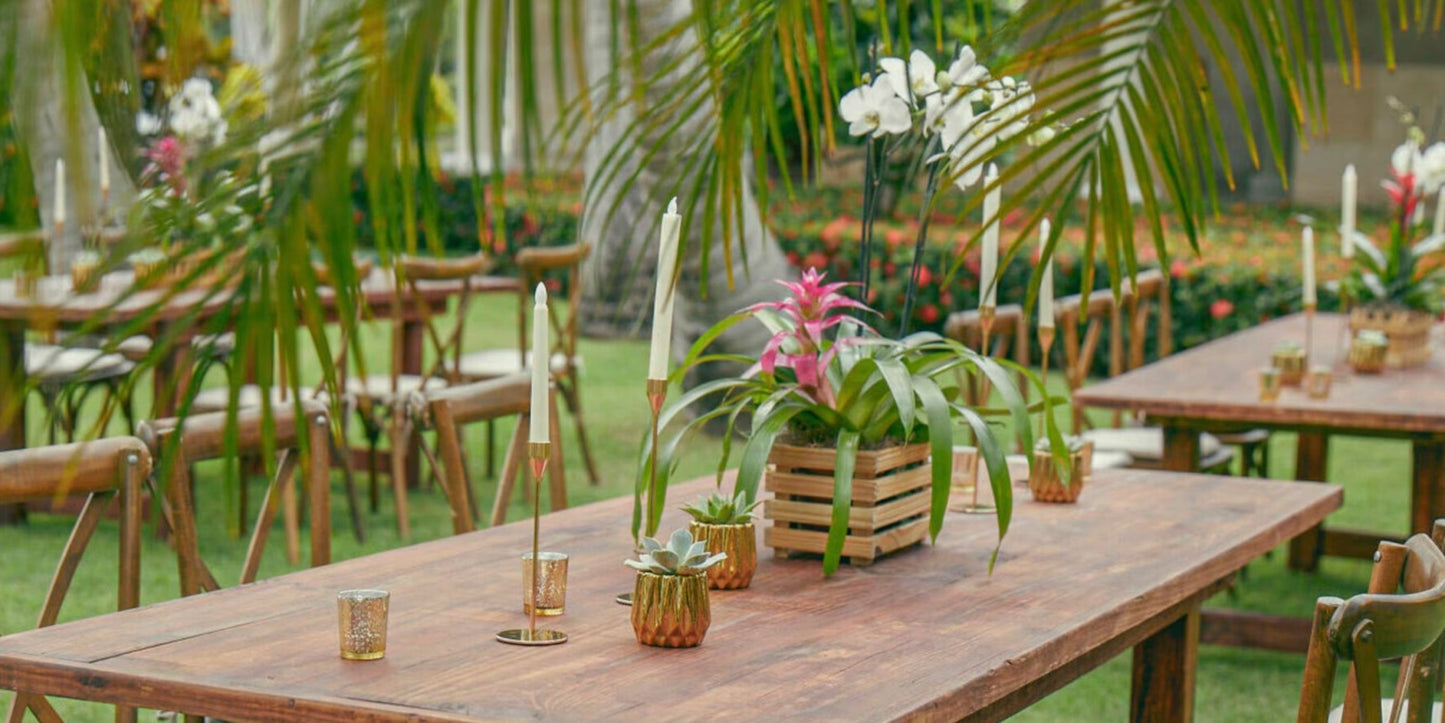 Iberostar Waves Dominicana Destination Wedding Package