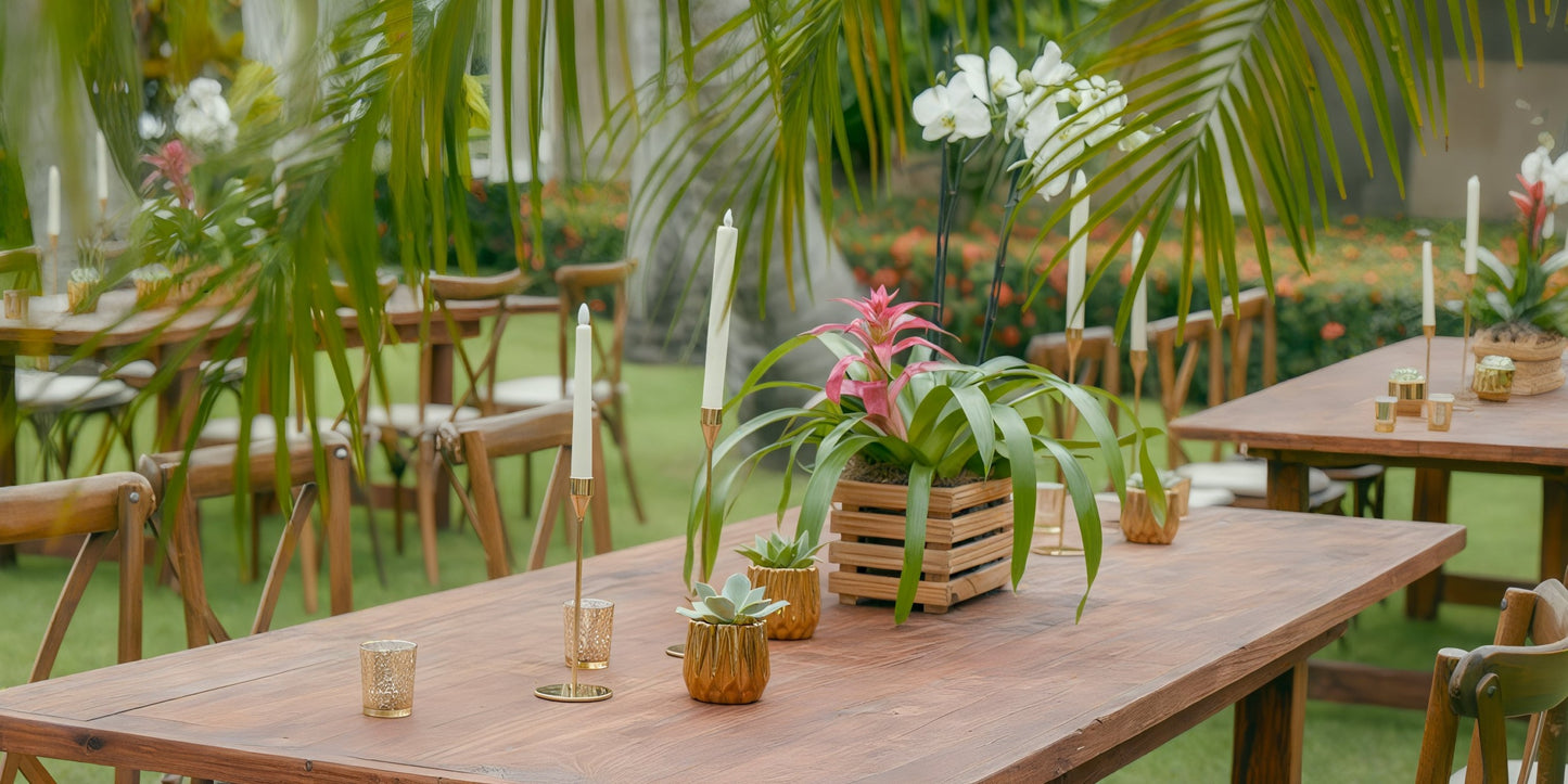 Iberostar Waves Punta Cana Destination Wedding Package