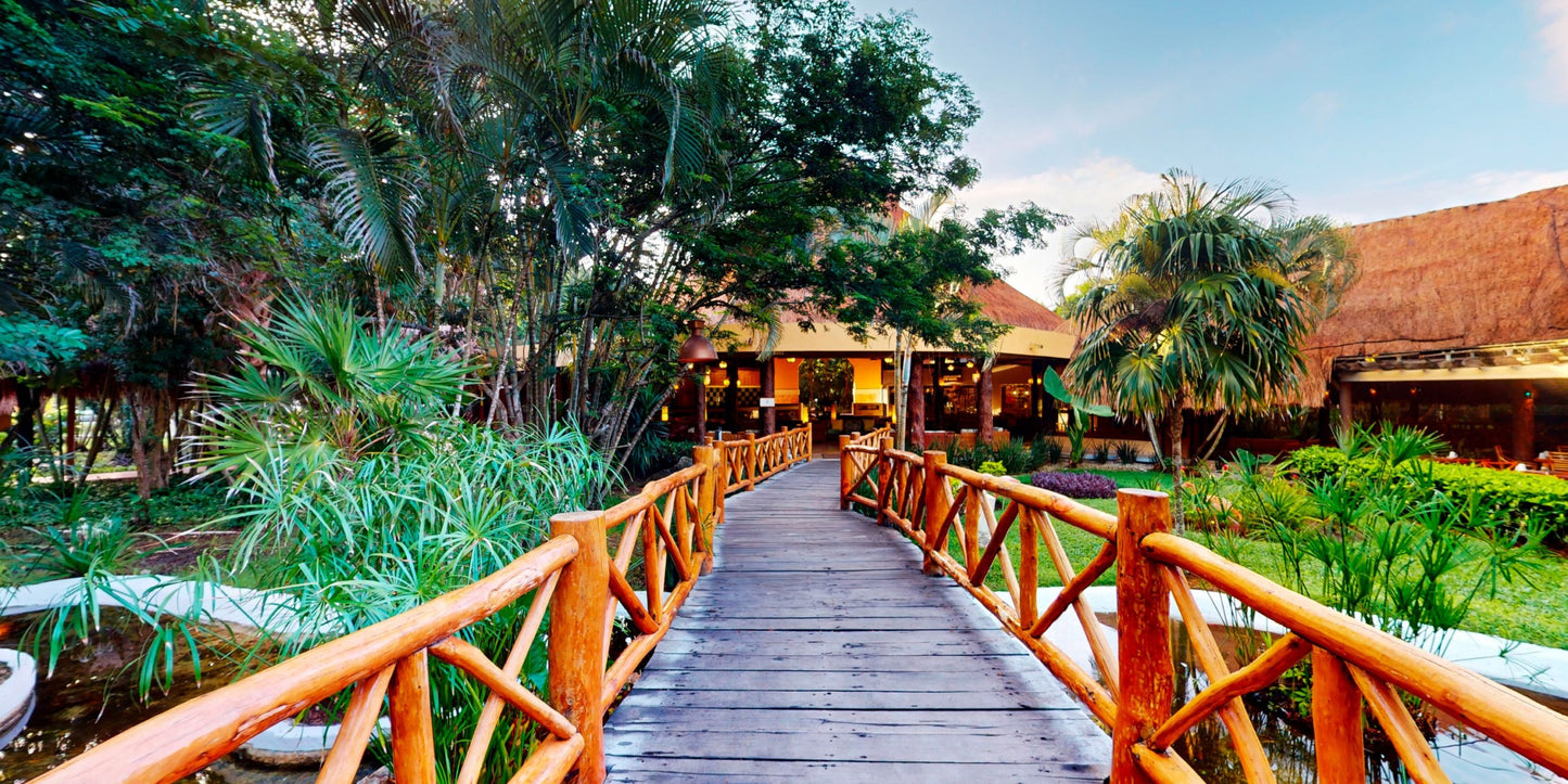 Iberostar Waves Cozumel Destination Wedding Package