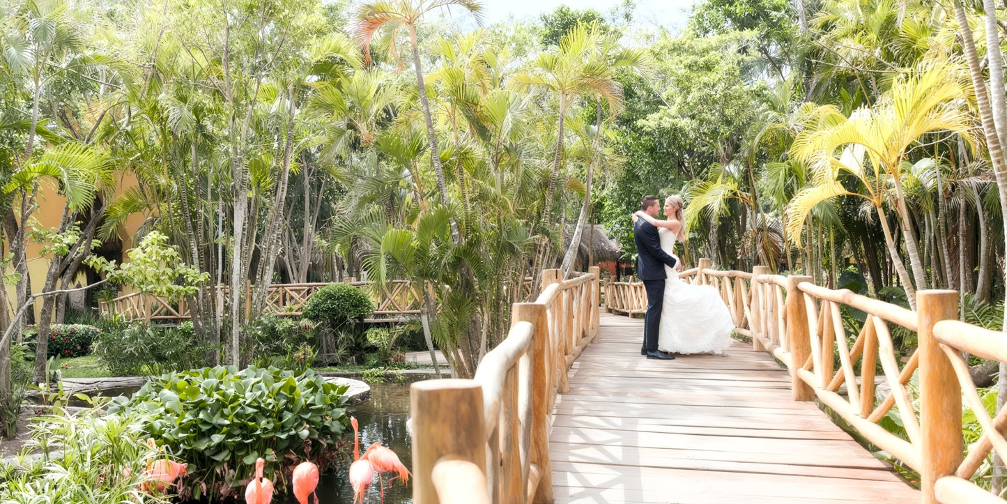 Iberostar Waves Cozumel Destination Wedding Package