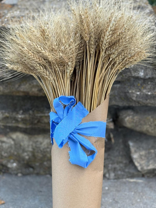 Dried Wheat Bundles | Rustic Wedding Decor, DIY crafts & Farmhouse Arrangements