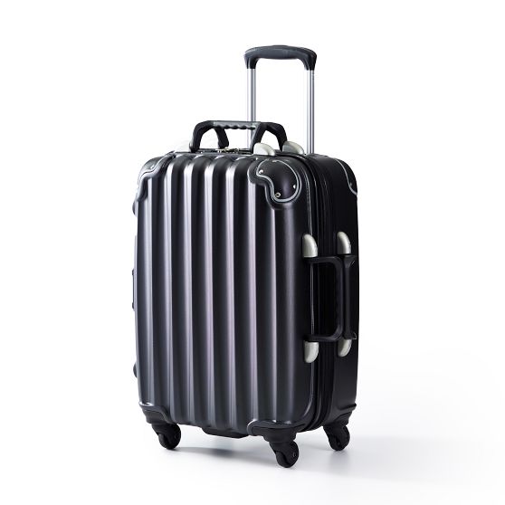 5-Bottle Wine-Ready Checked Luggage