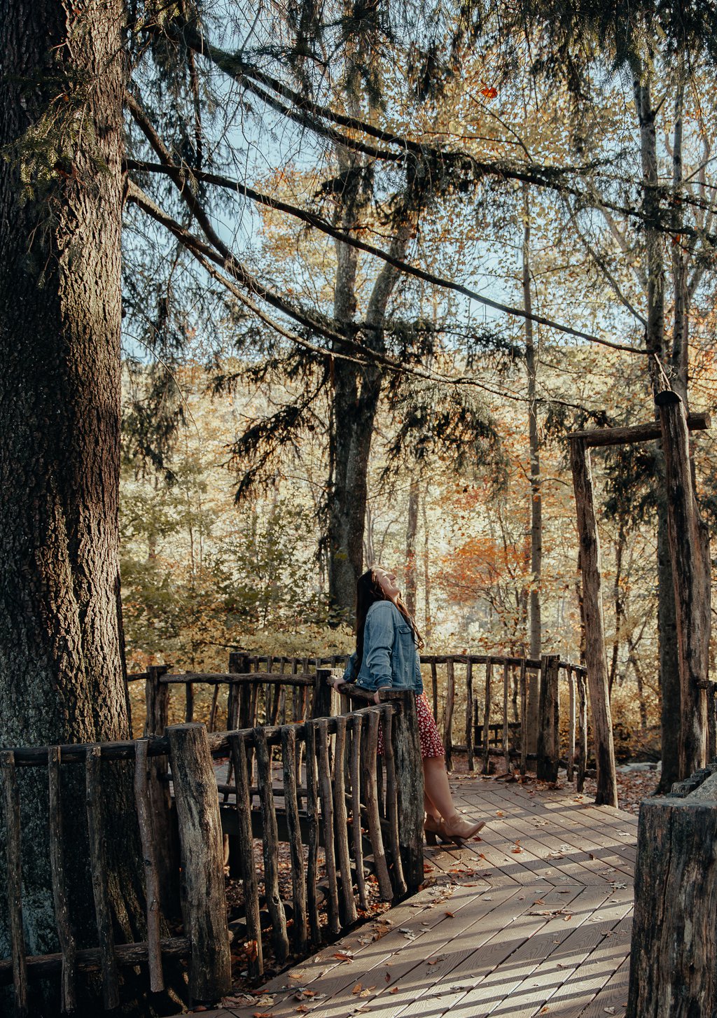 Jessica in Philadelphia: Proposal / Engagement Photography