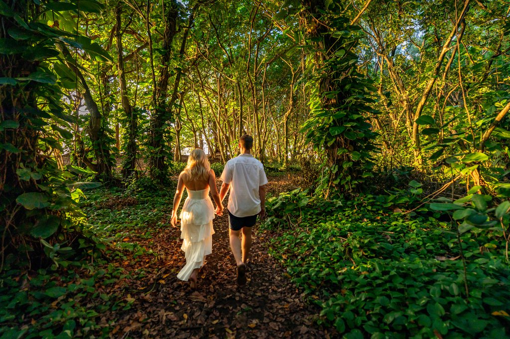 Jolie in Kauai: Proposal / Engagement Photography