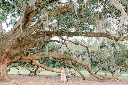 Kara in Charleston: Proposal / Engagement Photography