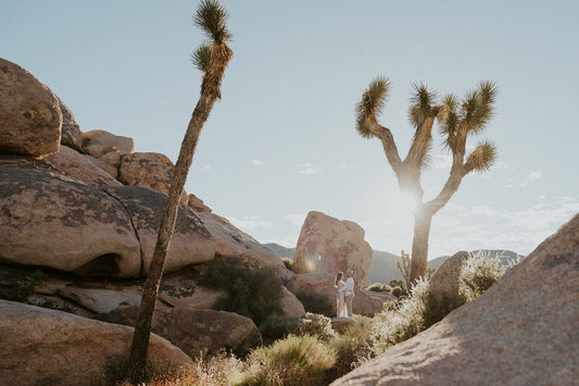 Karissa in Joshua Tree: Proposal / Engagement Photography