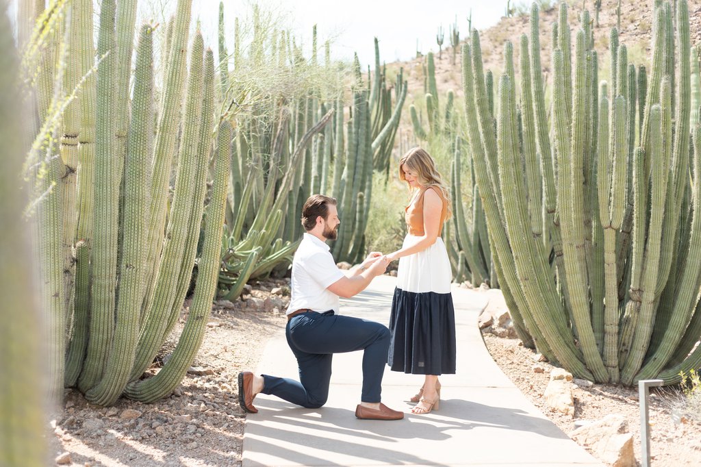 Katherine in Scottsdale: Proposal / Engagement Photography