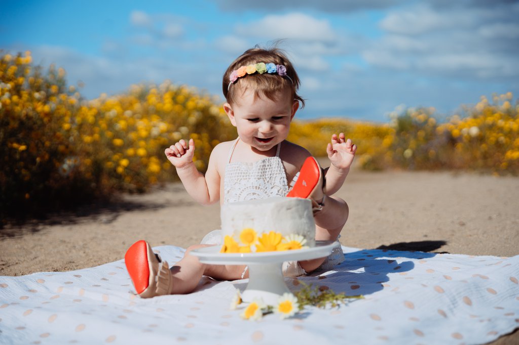 Laura in San Diego: Proposal / Engagement Photography