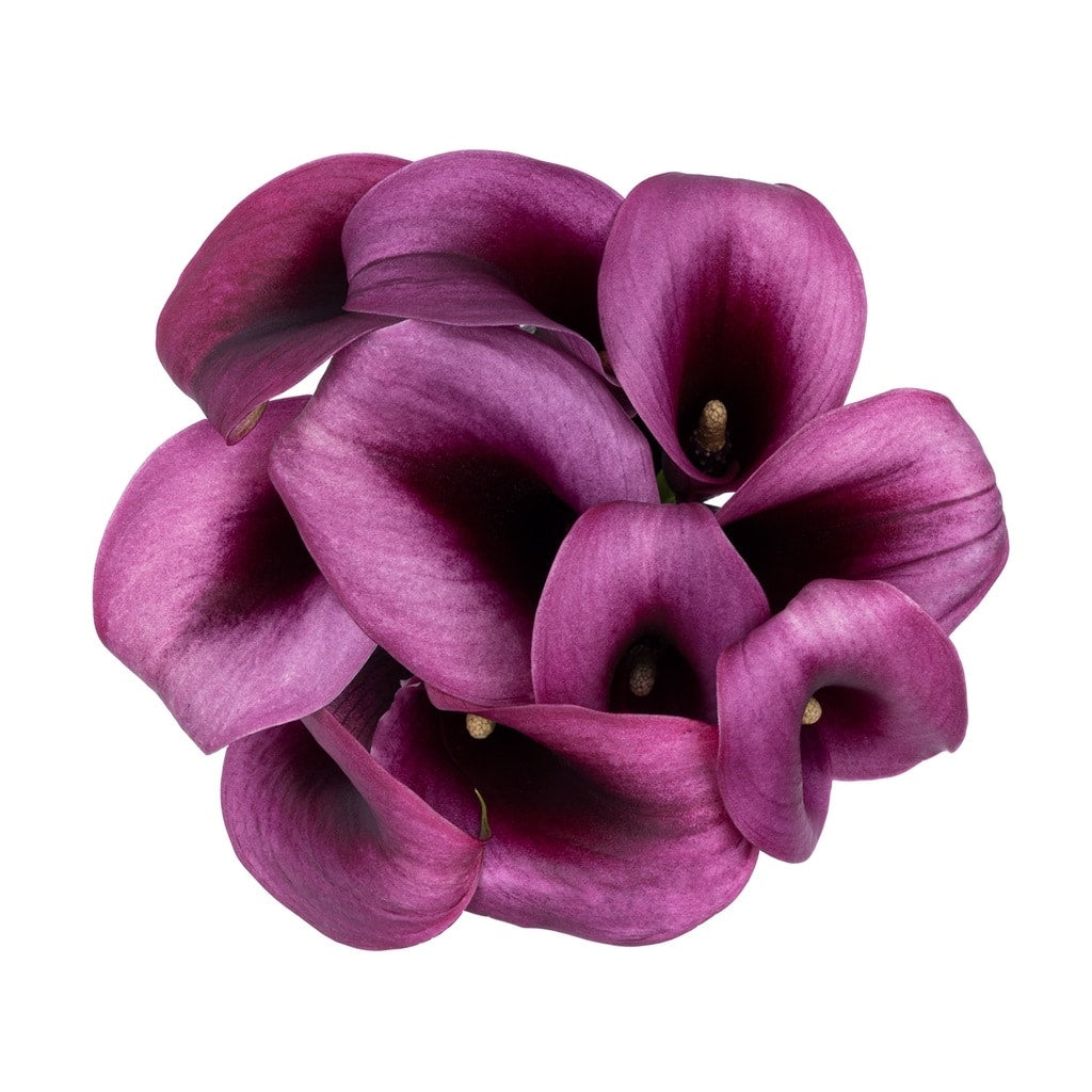 Lavender Mini Calla Lily Flower